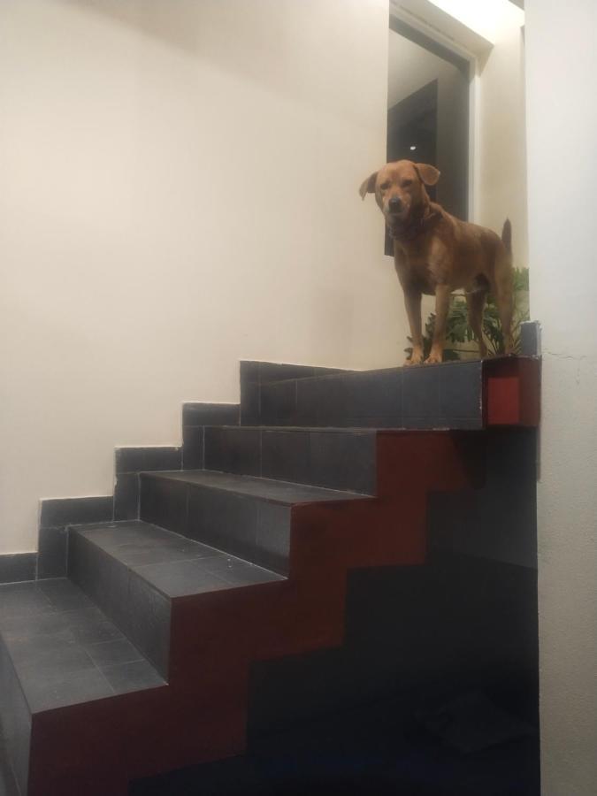 Two Bedroom House Madikeri Exterior photo